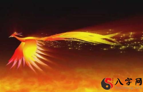 梦见凤凰低飞